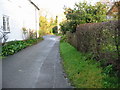 A tiny lane in Marshborough.