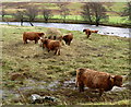 River Lyon at Moar, Glen Lyon