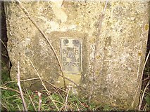 SP9254 : Bench Mark on Trig Point near Lavendon Wood by Nigel Stickells