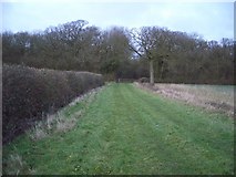 SP9254 : The Way to Lavendon Wood by Nigel Stickells
