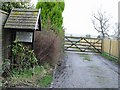 Driveway to Little Guston Farmhouse