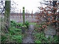 Stour Valley footpath crossing road and entering an orchard (looking NW).