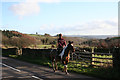 Dulverton: horse and rider at Highercombe