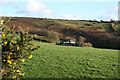 Dulverton: towards Higher Spire