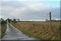 The lane to Burngrains Farm.