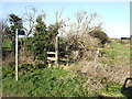 Footpath to Cherbury Camp