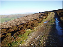 SE0097 : Moorland track on Harkerside Moor by Ray Woodcraft