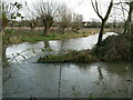 River Windrush near Witan Way, Witney