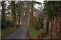 Lane, Christ Church, Carrowdore