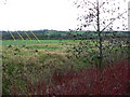 Farmland, North Wroughton, Swindon