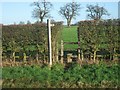 Footpath to Crateford