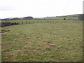 Across the fields from Needham Grange