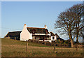 Cairnhigh house and Beech trees.