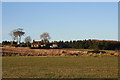 Farm cottage by Cairnhigh.