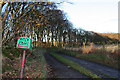 The lane to Tarfat Croft.