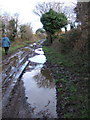 Bridleway to Smallhanger Waste