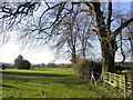 Farm Footpath