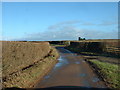 SJ3223 : Lane near Osbaston by David Medcalf