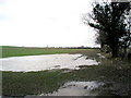 SE2870 : Flooded Field by Andy Beecroft