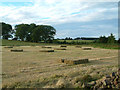 Hay bales, Greenknowe Farm