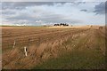 Stubble Fields