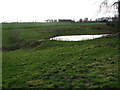 Farmland and pond at Littledean Farm