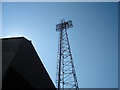 Vetch Field, Swansea