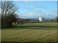 Farmland and MERLIN telescope