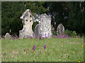 TQ2728 : Orchids in Staplefield Churchyard by Robin Webster