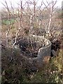 Concrete remains on Ibsley Common, New Forest