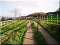 Track to Woodside Farm