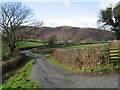 The Track To Caen-y-mynydd