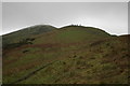 Sugarloaf Hill (and Worcestershire Beacon)