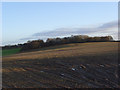 Farmland above Upper Lambourn