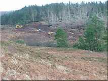 NG4057 : Clear Felling in Hinnisdal Forest by Dave Fergusson