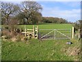 Field Gate and Stile near Stryt-cae-rhedyn