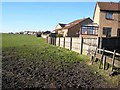 Field adjoining the Winds Lonnen Estate, Murton