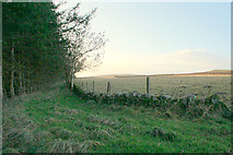 NH9653 : Lane to Craighead south of Broomton Farm. by Des Colhoun