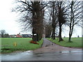 Tree Lined Farm Road