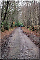 Bridleway from Kent to Sussex