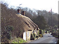 Thatched Cottage and Maypole