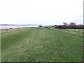 Severn bank looking north