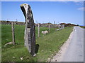 SN0336 : Bedd Morris standing stone by Natasha Ceridwen de Chroustchoff