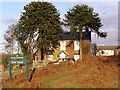 Monkey puzzle cottage, near Linwood, New Forest