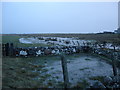 Flooded fields at Cornaigbeg