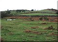 Towards Crownhill Tor