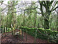 Cornwood Footpath 26 entering Broomage Wood