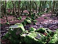 Old walls in Broomage Wood