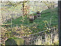 Bee Hives at Robridding