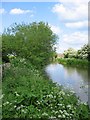 Kennet and Avon sluice gate and Leywood Bridge